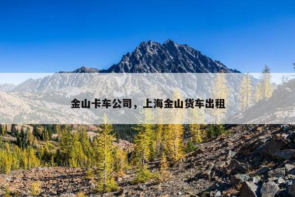金山卡车公司，上海金山货车出租