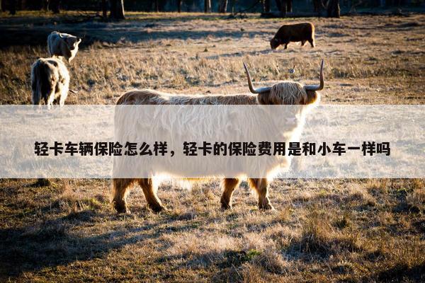 轻卡车辆保险怎么样，轻卡的保险费用是和小车一样吗