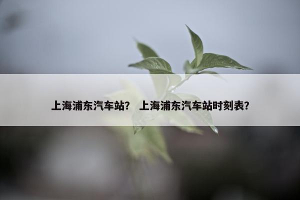 上海浦东汽车站？ 上海浦东汽车站时刻表？