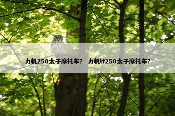 力帆250太子摩托车？ 力帆lf250太子摩托车？