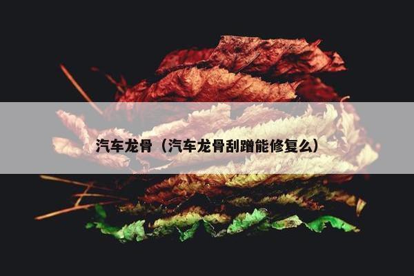 汽车龙骨（汽车龙骨刮蹭能修复么）