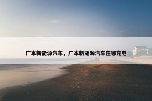 广本新能源汽车，广本新能源汽车在哪充电