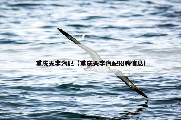重庆天宇汽配（重庆天宇汽配招聘信息）