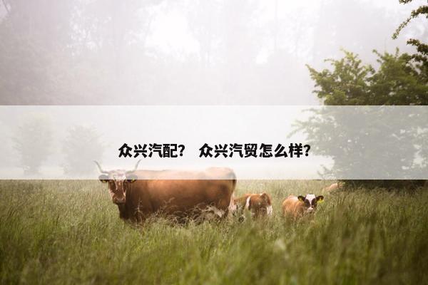 众兴汽配？ 众兴汽贸怎么样？