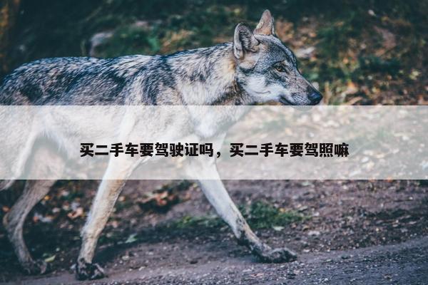 买二手车要驾驶证吗，买二手车要驾照嘛