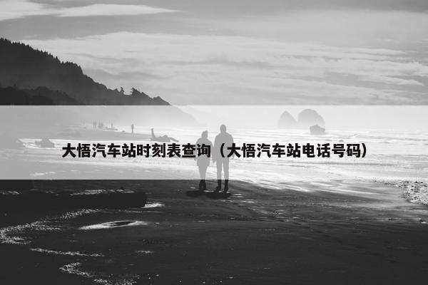 大悟汽车站时刻表查询（大悟汽车站电话号码）