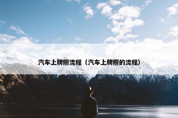 汽车上牌照流程（汽车上牌照的流程）