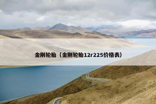 金刚轮胎（金刚轮胎12r225价格表）