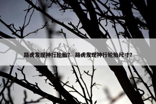 路虎发现神行轮胎？ 路虎发现神行轮胎尺寸？