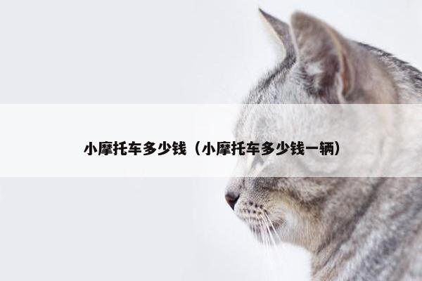 小摩托车多少钱（小摩托车多少钱一辆）