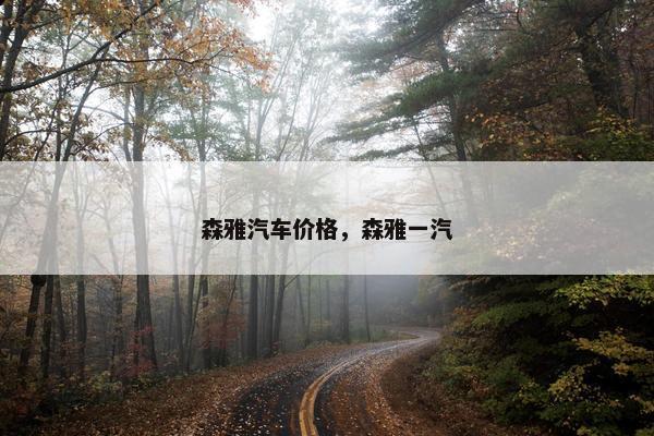 森雅汽车价格，森雅一汽