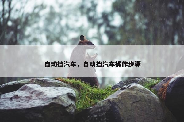自动挡汽车，自动挡汽车操作步骤