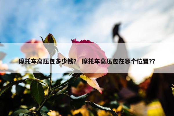 摩托车高压包多少钱？ 摩托车高压包在哪个位置?？
