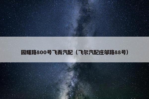 园耀路800号飞而汽配（飞尔汽配庄邬路88号）