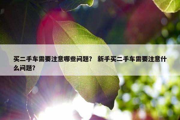 买二手车需要注意哪些问题？ 新手买二手车需要注意什么问题？