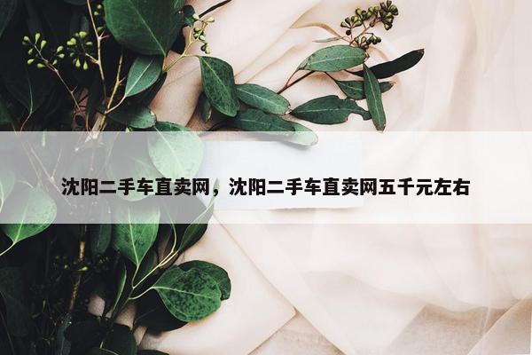沈阳二手车直卖网，沈阳二手车直卖网五千元左右