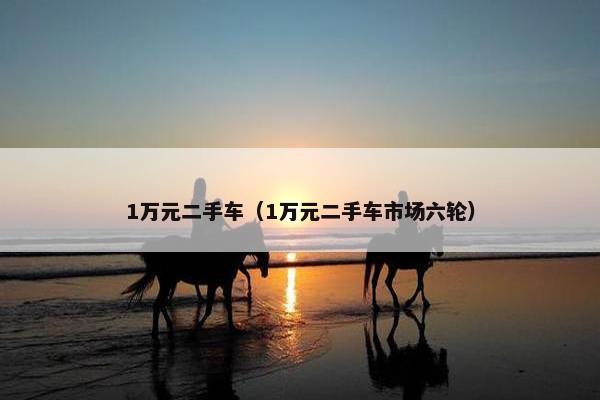 1万元二手车（1万元二手车市场六轮）
