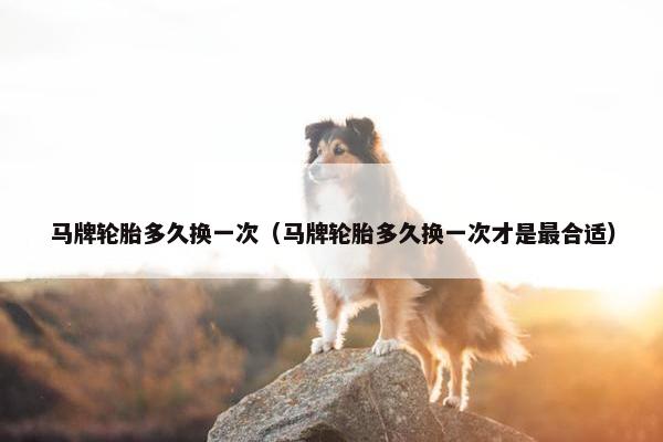 马牌轮胎多久换一次（马牌轮胎多久换一次才是最合适）