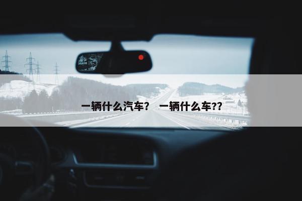 一辆什么汽车？ 一辆什么车?？