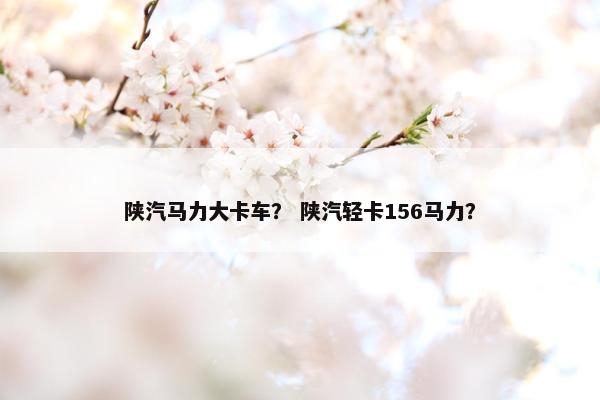 陕汽马力大卡车？ 陕汽轻卡156马力？