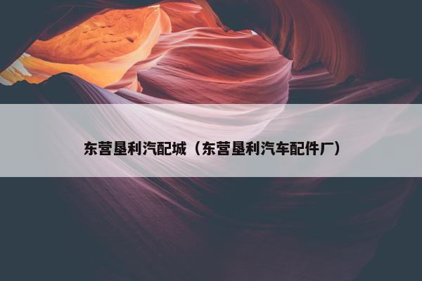 东营垦利汽配城（东营垦利汽车配件厂）