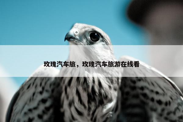 玫瑰汽车旅，玫瑰汽车旅游在线看