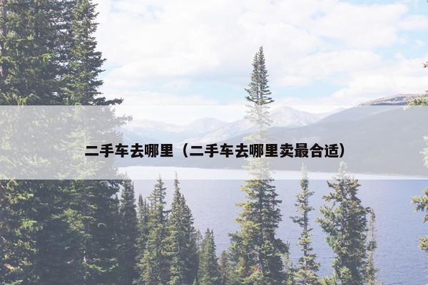 二手车去哪里（二手车去哪里卖最合适）