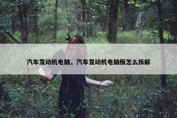 汽车发动机电脑，汽车发动机电脑板怎么拆解