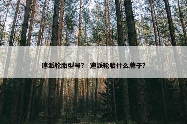速派轮胎型号？ 速派轮胎什么牌子？