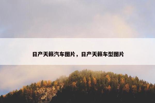 日产天籁汽车图片，日产天籁车型图片