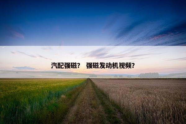 汽配强磁？ 强磁发动机视频？