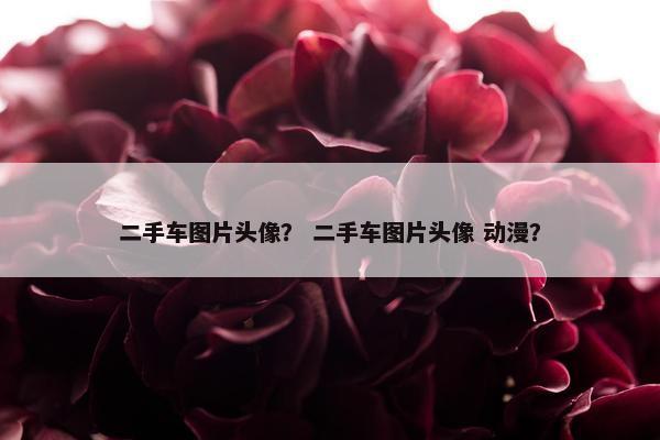 二手车图片头像？ 二手车图片头像 动漫？