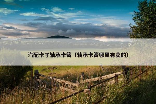 汽配卡子轴承卡簧（轴承卡簧哪里有卖的）