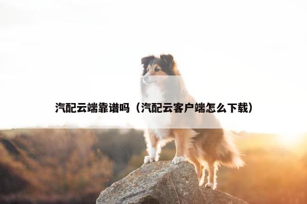 汽配云端靠谱吗（汽配云客户端怎么下载）