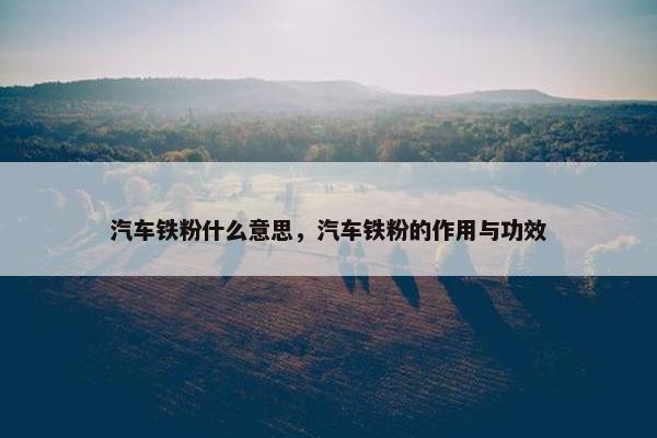 汽车铁粉什么意思，汽车铁粉的作用与功效