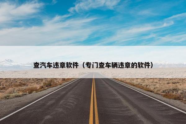 查汽车违章软件（专门查车辆违章的软件）