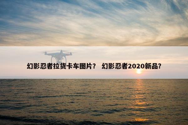 幻影忍者拉货卡车图片？ 幻影忍者2020新品？