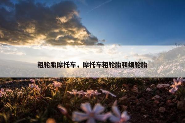 粗轮胎摩托车，摩托车粗轮胎和细轮胎