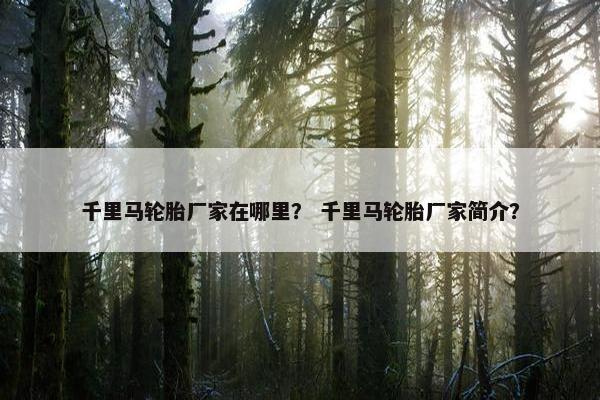 千里马轮胎厂家在哪里？ 千里马轮胎厂家简介？