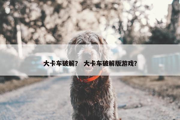 大卡车破解？ 大卡车破解版游戏？