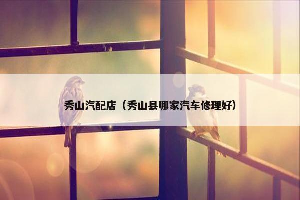 秀山汽配店（秀山县哪家汽车修理好）