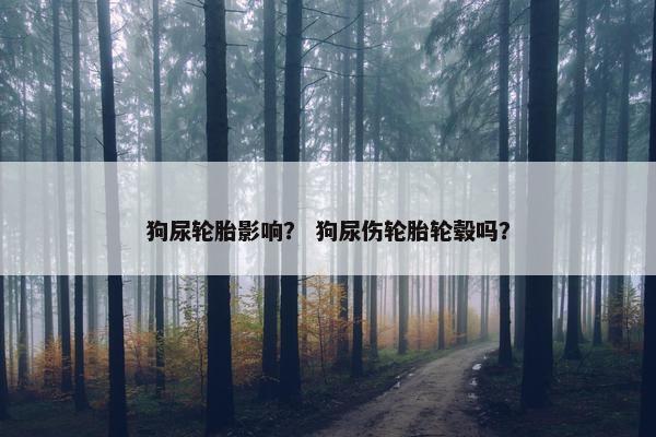 狗尿轮胎影响？ 狗尿伤轮胎轮毂吗？