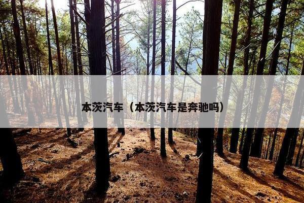 本茨汽车（本茨汽车是奔驰吗）