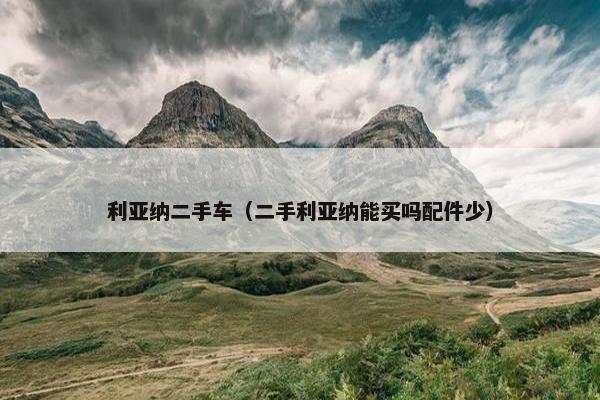 利亚纳二手车（二手利亚纳能买吗配件少）