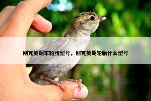 别克英朗车轮胎型号，别克英朗轮胎什么型号