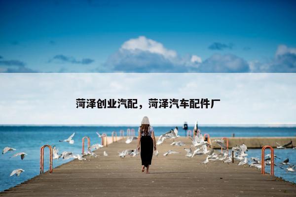 菏泽创业汽配，菏泽汽车配件厂