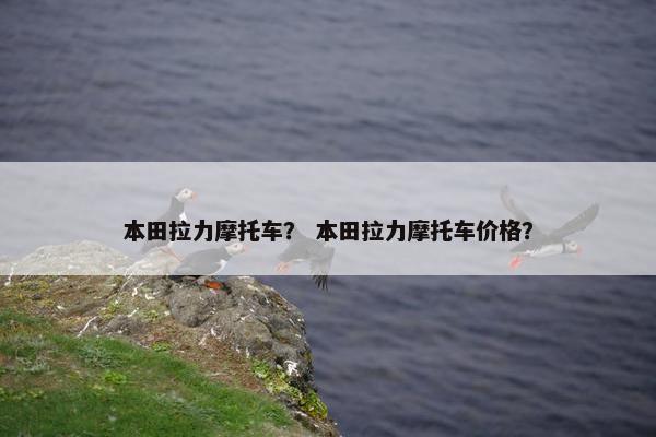 本田拉力摩托车？ 本田拉力摩托车价格？