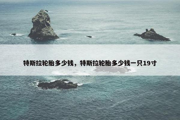 特斯拉轮胎多少钱，特斯拉轮胎多少钱一只19寸