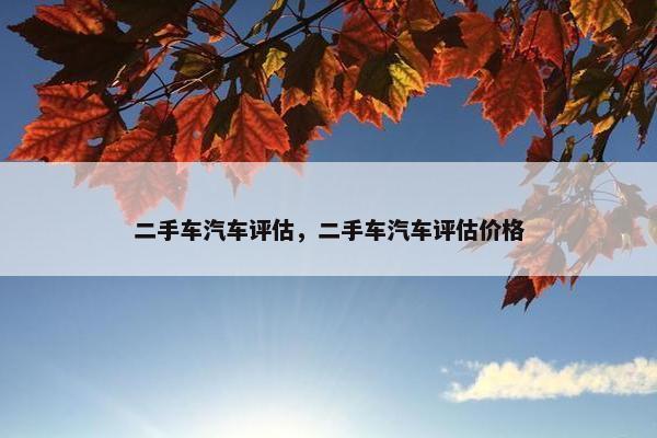 二手车汽车评估，二手车汽车评估价格