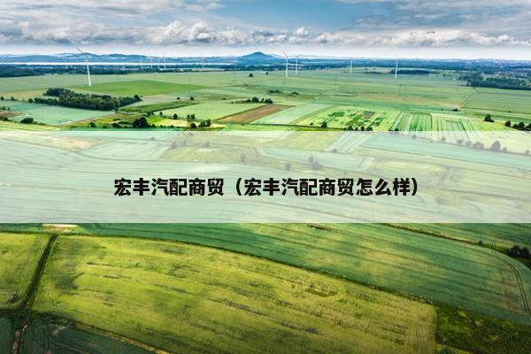宏丰汽配商贸（宏丰汽配商贸怎么样）